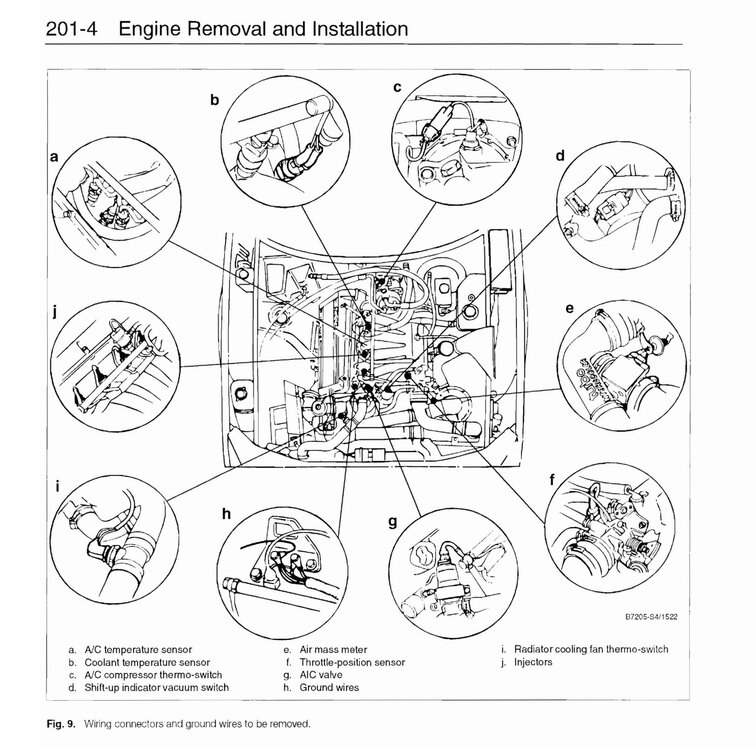 image.thumb.jpeg.89228976a37268e5a1b96d6b8df50f4a.jpeg