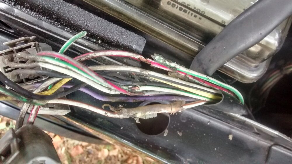image_3.thumb.jpg.99340dc679795f57e131d98db2412f9c.jpg