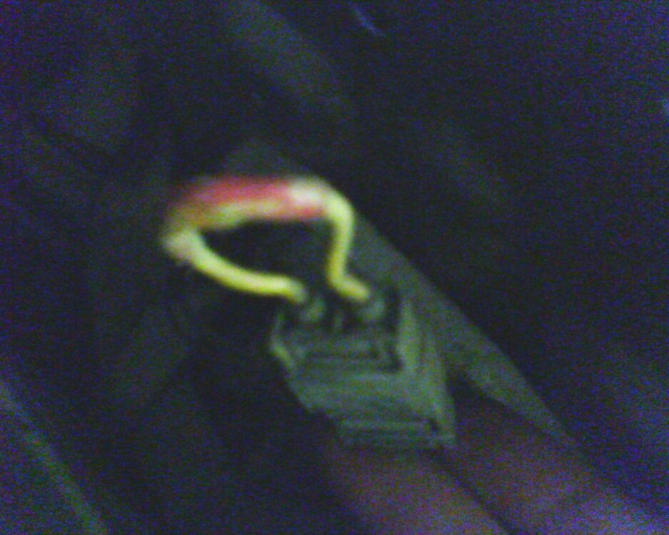 img237.thumb.jpg.d4cb2d0f58d5ccddba3e69c8badd11de.jpg