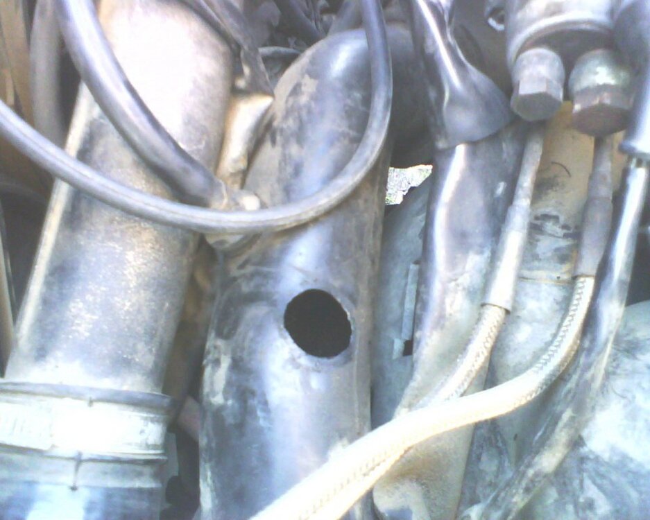 img349.thumb.jpg.848346b141722c7747e2d2453eaa4490.jpg