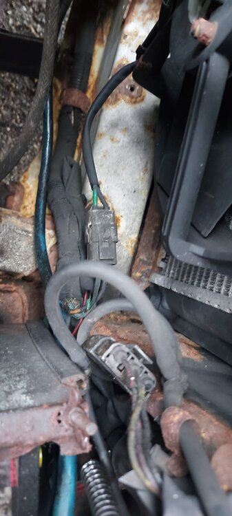 kabel.thumb.jpg.1ea99ccca9216c2e9f65a9bf308b5ec3.jpg