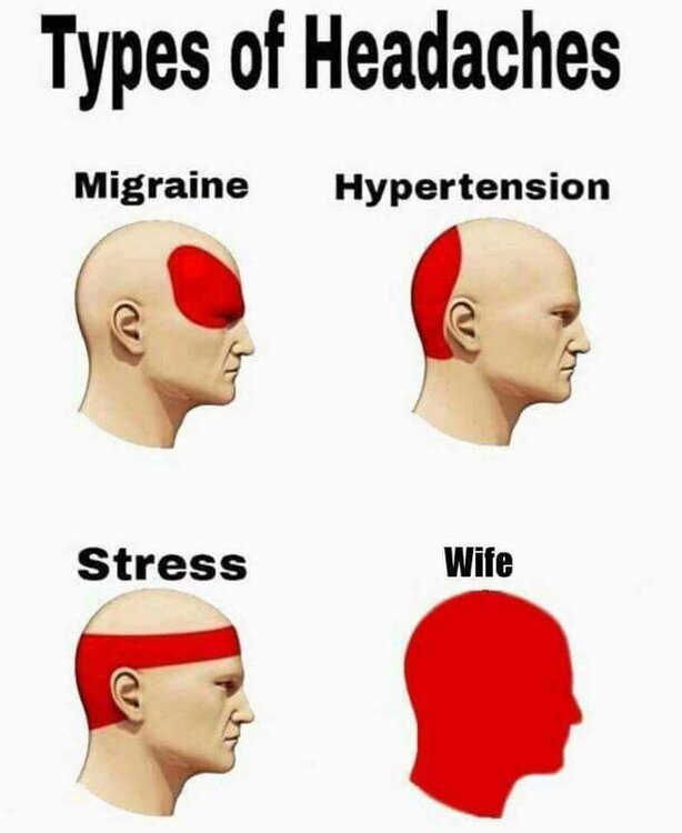 kopfschmerzen.thumb.jpg.9a92088f5c78365b5b8ae6a2773d6380.jpg