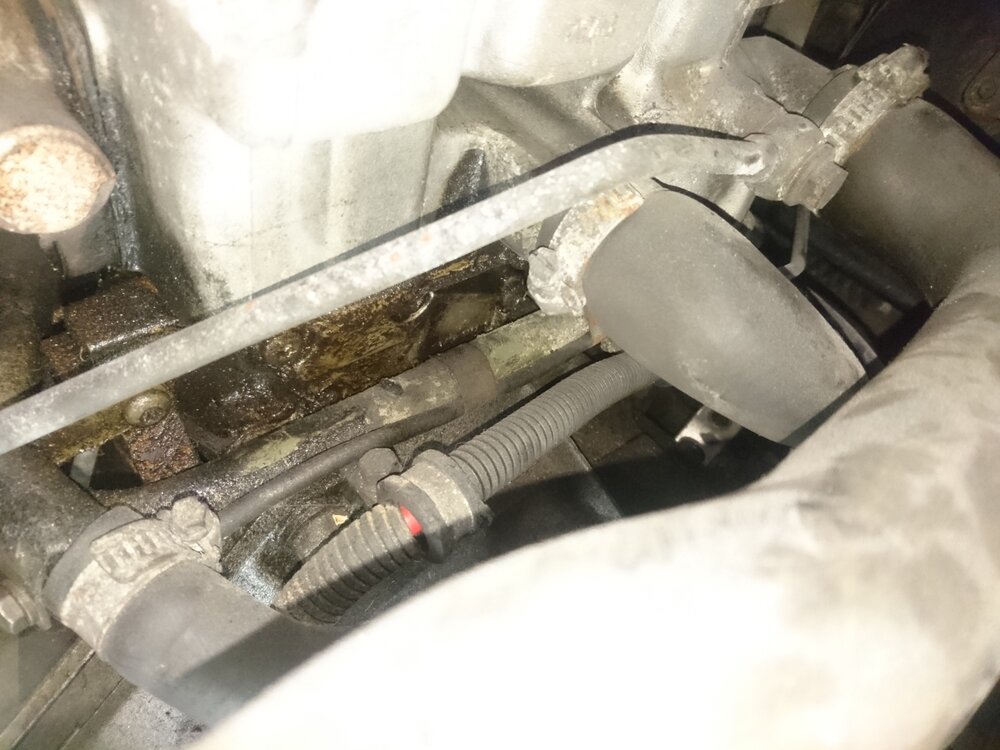 motor_02.thumb.jpg.525307c428ad4fbf9c098fdb26be425d.jpg