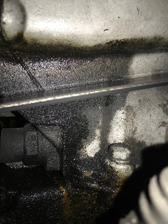 motor_04.thumb.jpg.93254a6d7c37d09d96d3cd8e3fbcc219.jpg