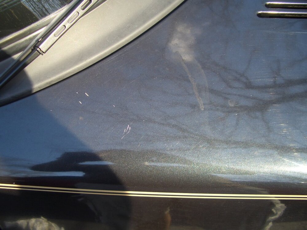nahaufnahmeReperaturKratzerMotorhaube.thumb.jpg.dd232286b6bc3f0ab7c4a212ed819a00.jpg