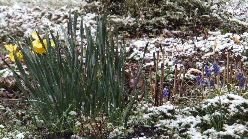 ostern.thumb.jpg.e8b0f7e6c61abb43e7318341e51232c6.jpg