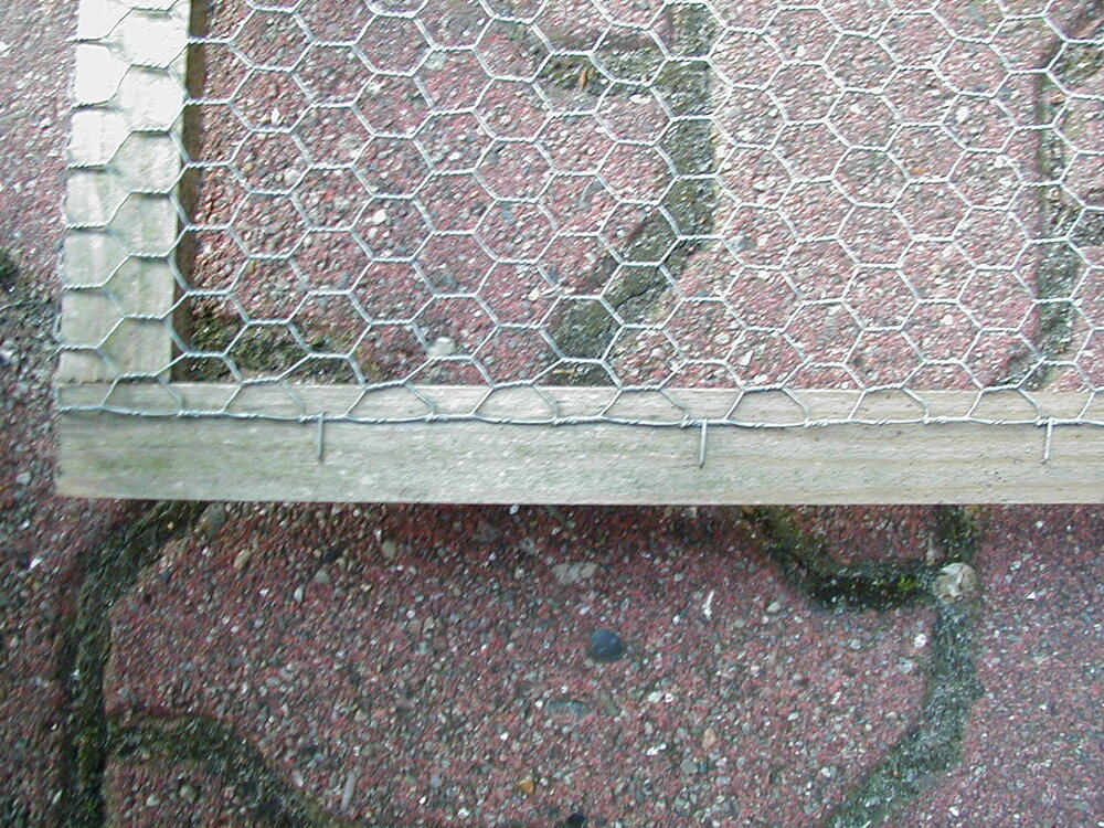 p5120008_429.thumb.jpg.734e3f035eb34db02cb2f39661b5b43f.jpg