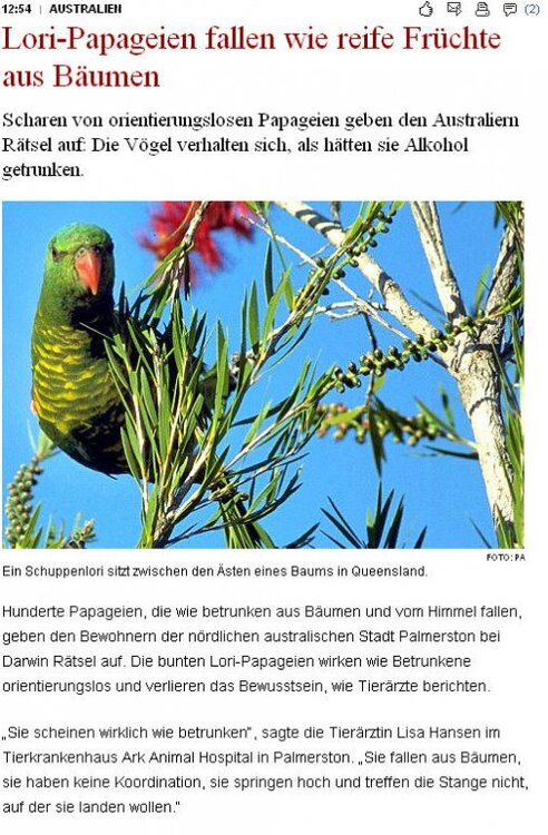 papageibesoffen.thumb.jpg.b32a14f908e3e668137504ec0bde1ddd.jpg