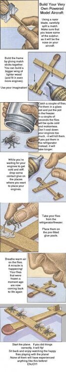 plane.thumb.jpg.232b8f84c7483bfd527661cc5dc2185b.jpg