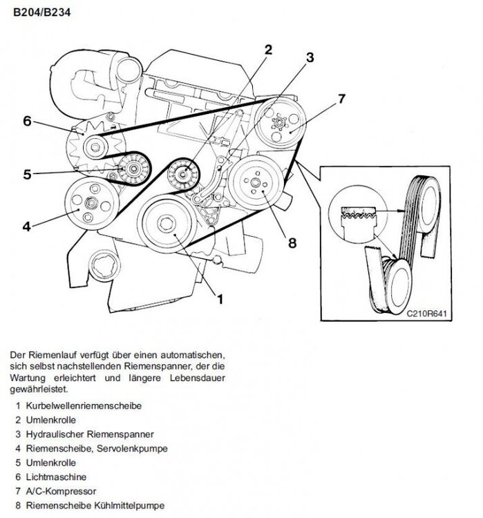 riemen.thumb.jpg.60c2832b3fb9e02d171e534075debdd0.jpg