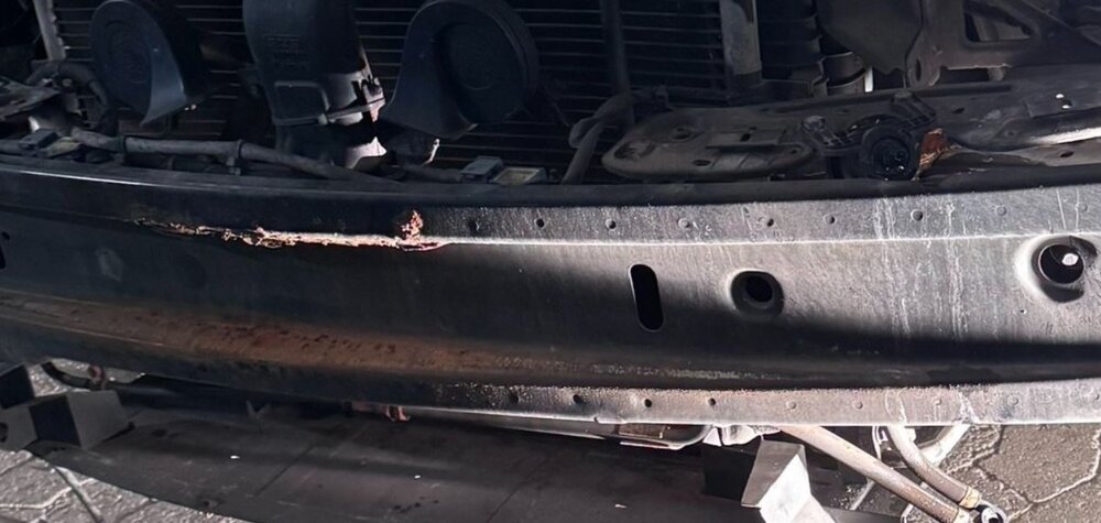 rost.thumb.JPG.cc0a0a438cd98a2e1a1de03cadc0cf3a.JPG