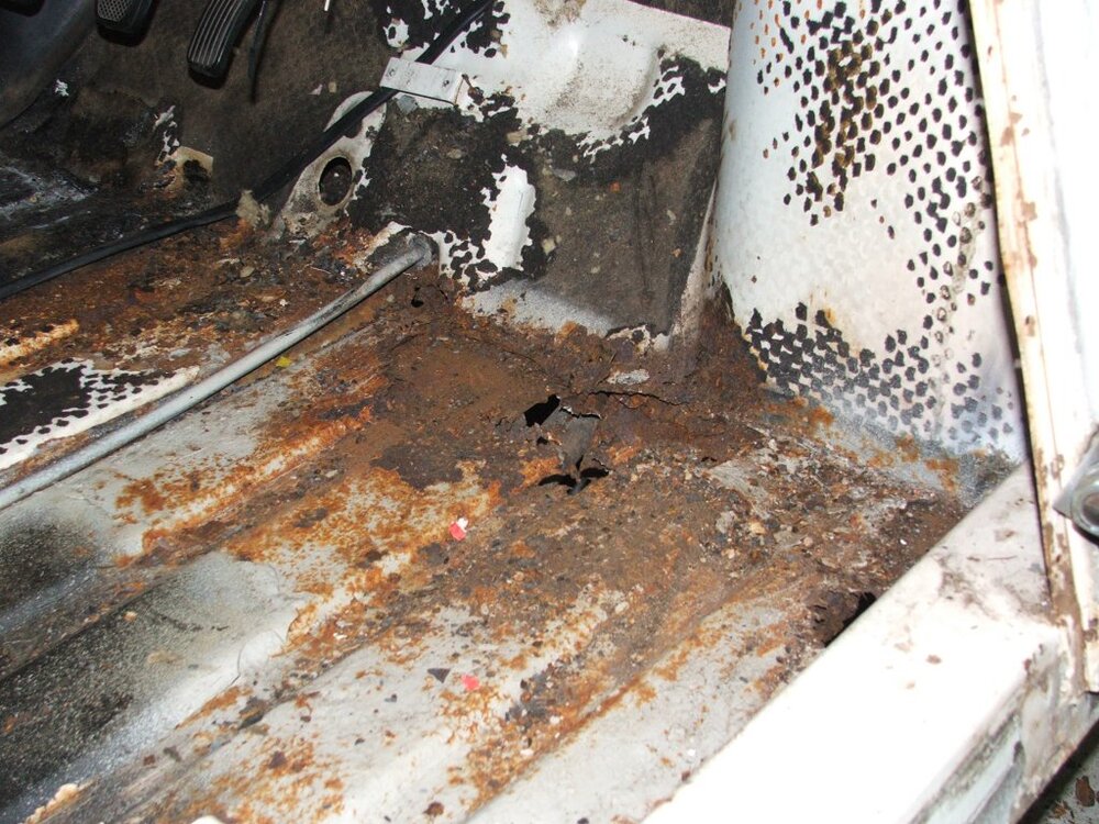 rost.thumb.jpg.d559d99ed19d47bee5c79cfd06b343b7.jpg