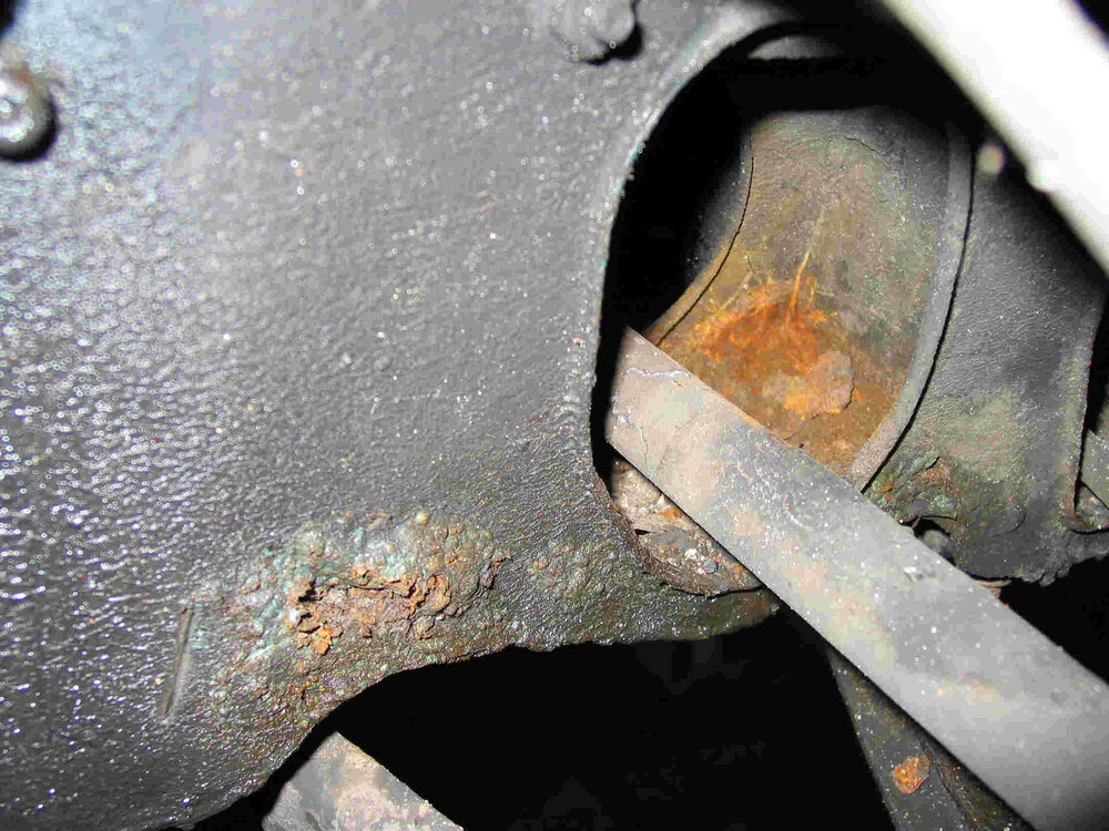 rost_203.thumb.jpg.b74ec4877b83632bc39fd1d7aa76a21a.jpg