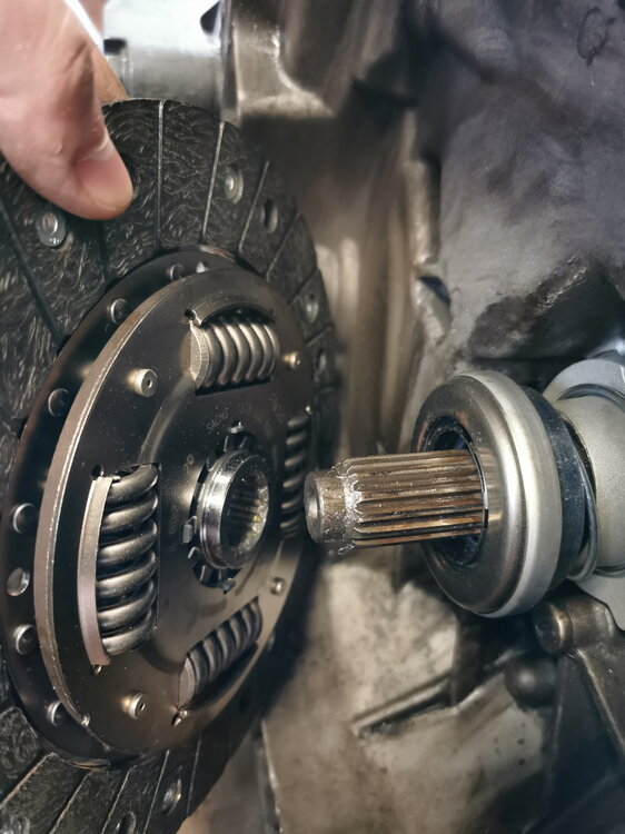 sachs_01.thumb.jpg.c8b5b0502fa89e4221453c6130f90592.jpg