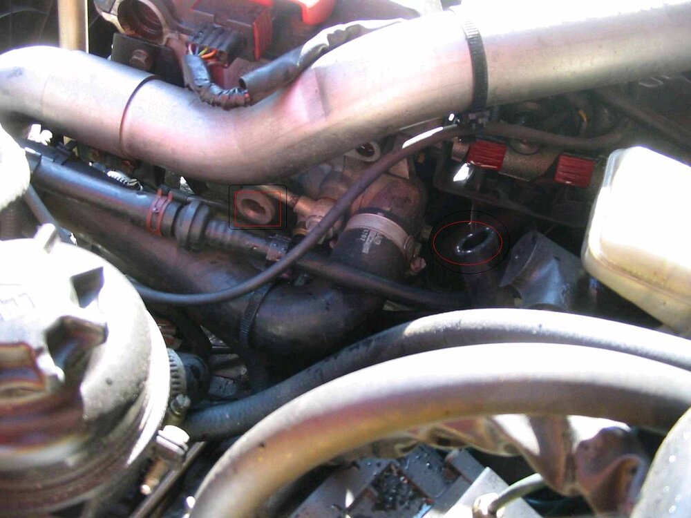 schlauch_kaputt_144.thumb.jpg.19b103400078e00c4a2f086875441aef.jpg