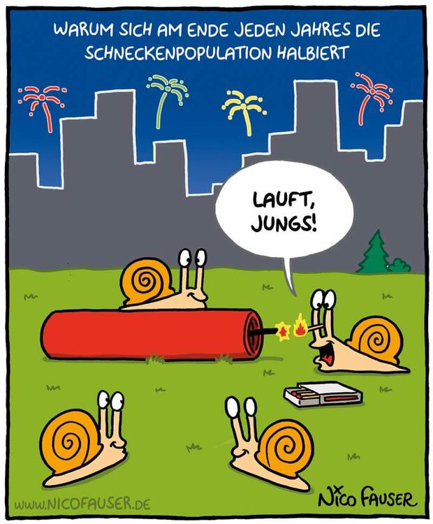 schneckenknaller.thumb.jpg.77ee69cc19826f64759a81dae24b236e.jpg