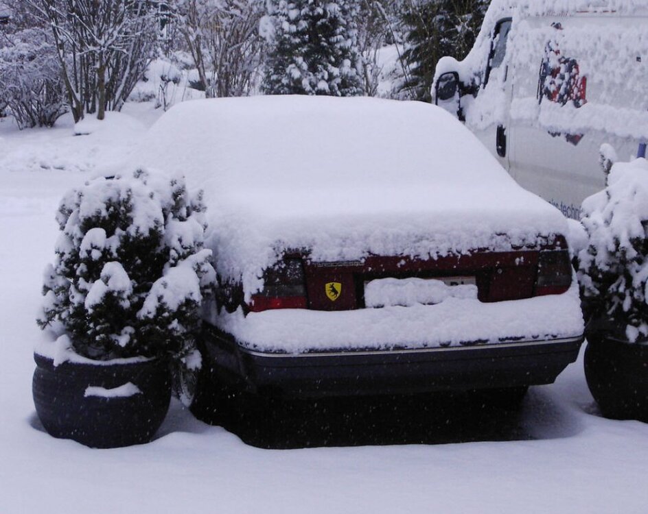 schnee.thumb.jpg.885d1d13364e749c5b4e3f57c0f0dd40.jpg
