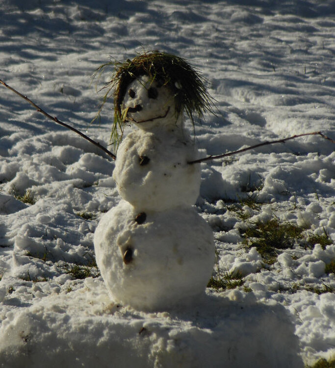 schneemann.thumb.jpg.5e595a95e89add8c8e8fe81aabefa45a.jpg