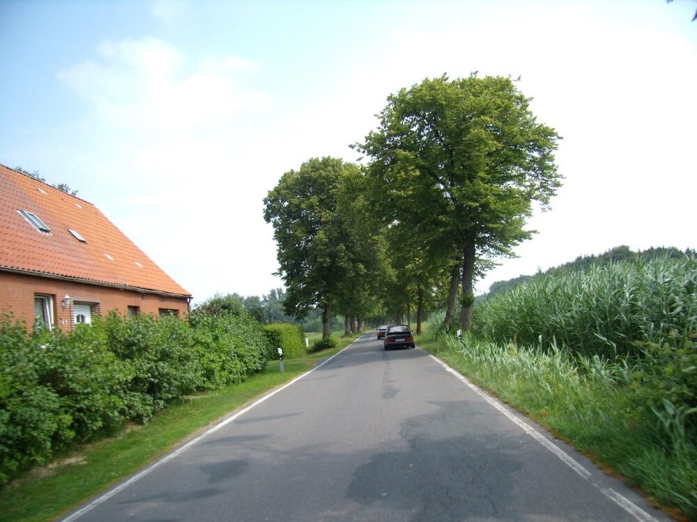 schoene_alleen.thumb.jpg.066ab14b484c86af90edc6a0bf8d1230.jpg