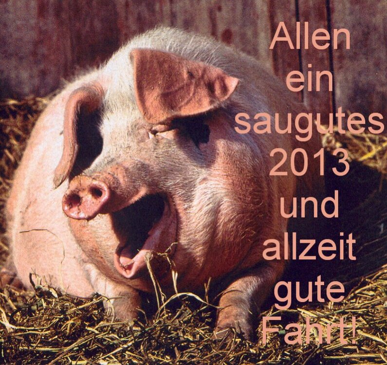 schwein2013.thumb.jpg.85e85e378442496a0d6d5f4243834891.jpg