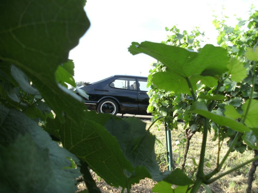 small21040.thumb.jpg.6b8ae070b554303b292d80c5e109d7a8.jpg
