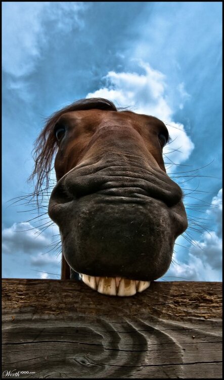 smile.thumb.jpg.0d15463e62e0e460571e4c65b207b5d6.jpg