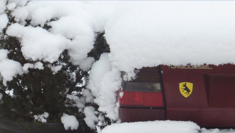 snow.thumb.jpg.901115474de8aabd2544a1666c843d28.jpg
