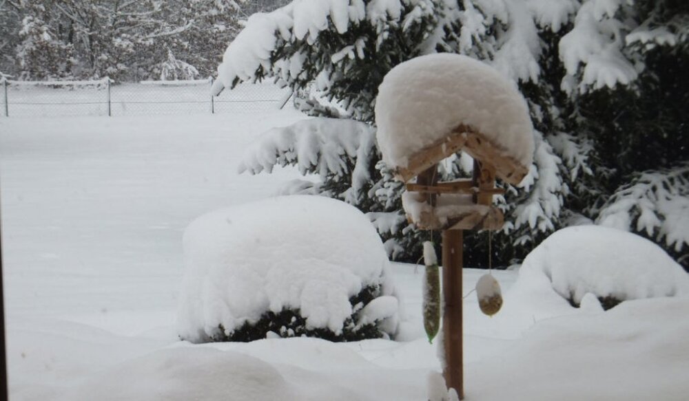 snow.thumb.jpg.986c236fe55a7539fd5c4f80a483d354.jpg