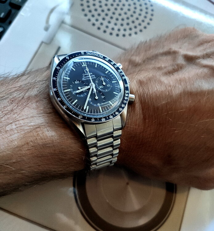 speedy.thumb.jpg.723ed97c0753f14611bf2377a019f630.jpg