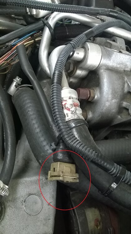 stecker2.thumb.jpg.8ae28fc277e0c930b6698a0770c5a800.jpg