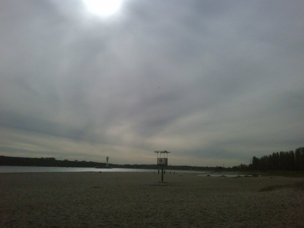strand1.thumb.jpg.c375c8742f7aec09785aa5abfb2d518c.jpg