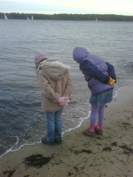 strand3.thumb.jpg.7433ef0d881d07535b00fa261e787f7c.jpg