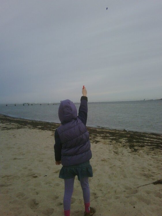 strand4.thumb.jpg.f575962dd386550d2b7ac87e65cefe6a.jpg