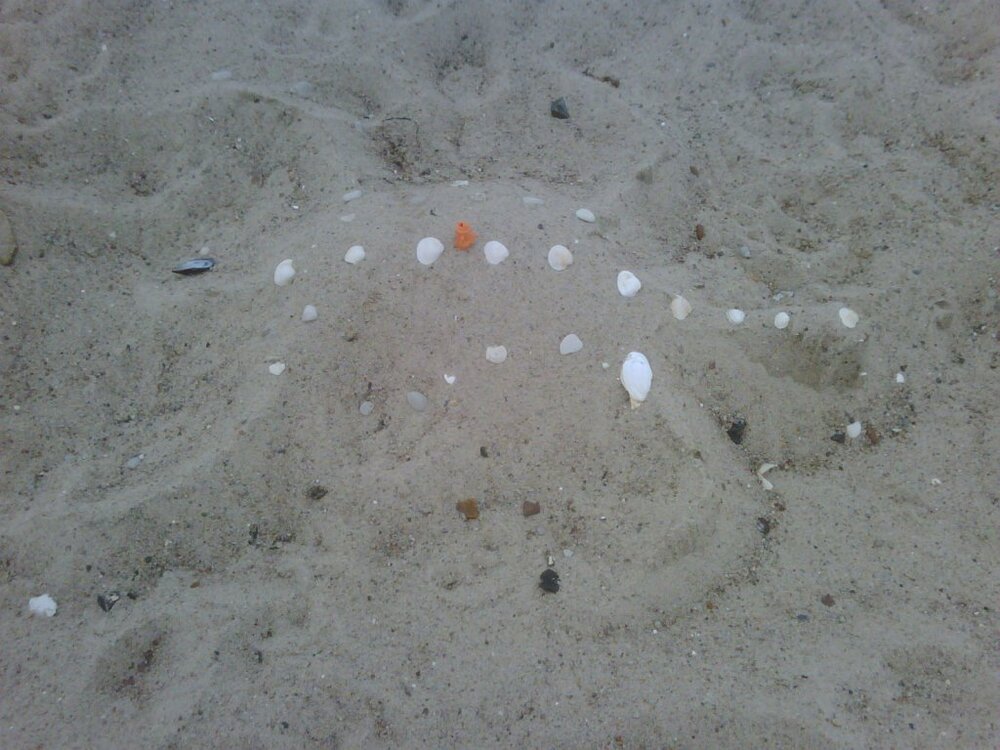 strand5.thumb.jpg.4b953e9703fcefa4557f7846db2fd74f.jpg