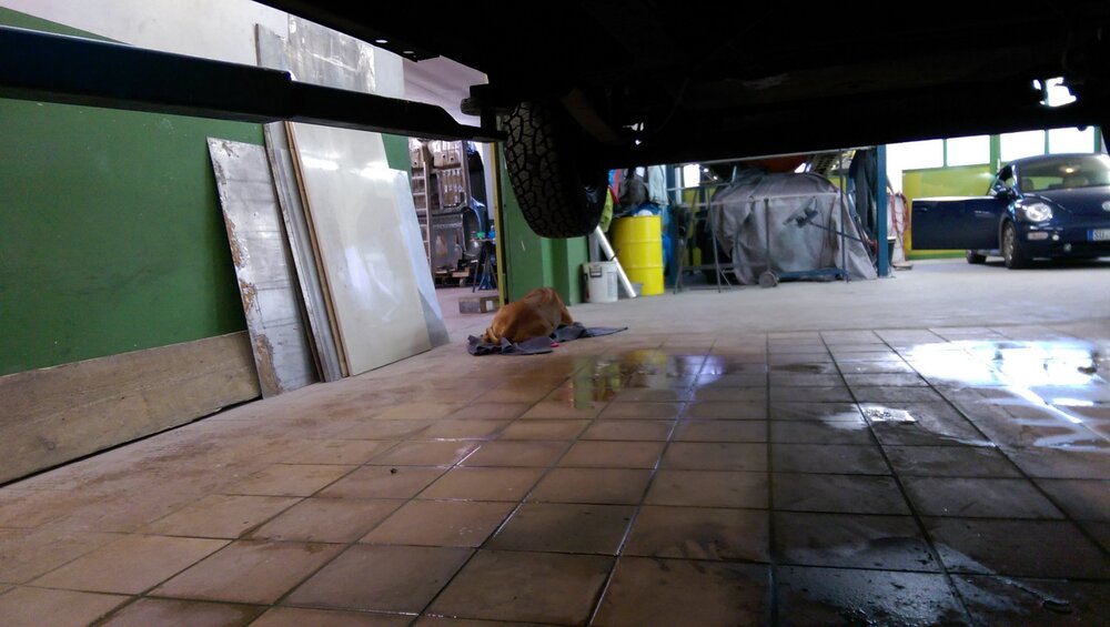 tmp_25723-IMAG1290-1778375013.thumb.jpg.62934abbfc5e2473f8a6fecdeaaefb01.jpg