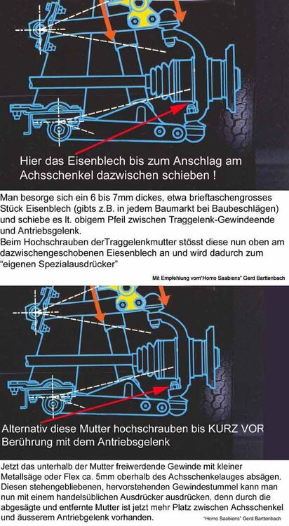 traggel-kombi_905.thumb.jpg.b3207a53d3610d035e3869db82b1e6a4.jpg