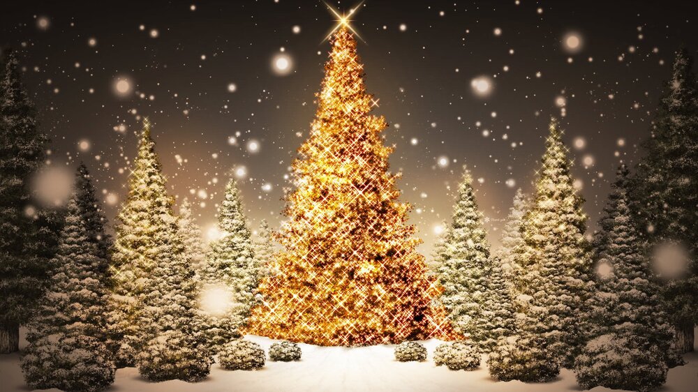 upload_2016-12-24_17-19-37.thumb.jpeg.11446124266b7563960f48d36bc926f0.jpeg