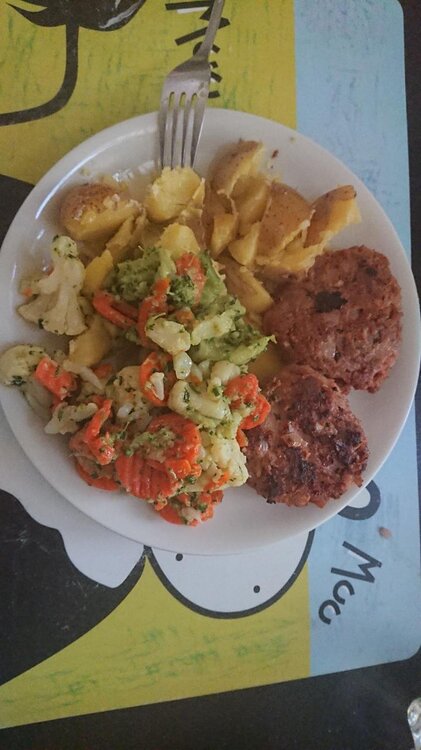 vegane_fertigmischung.thumb.JPG.862343135dbfd82a6f27b230acc1b453.JPG