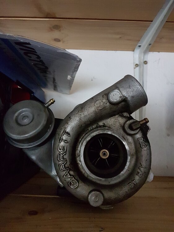 verkleinert1.thumb.jpg.c01ac0cc7df7e7edc04c277a5dabd89f.jpg