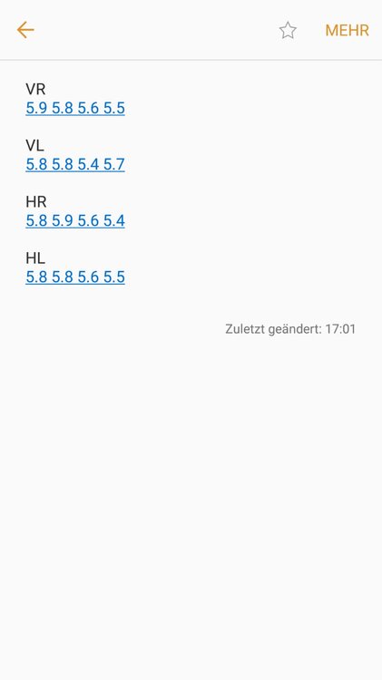 verschlei.thumb.jpg.d8431acae6956129010966244e8fcfdf.jpg