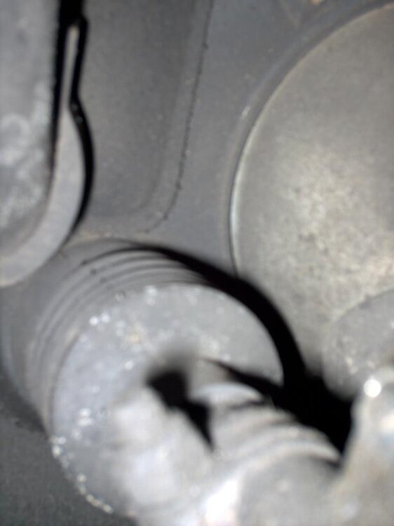 von_motorraum_.thumb.jpg.d7e4234ce628fa5c8390460ba0bcdfc8.jpg