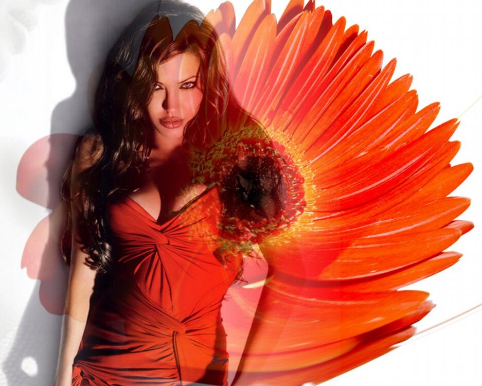 wings-orange.thumb.jpg.0592843d292b260ad5026c43cab33698.jpg