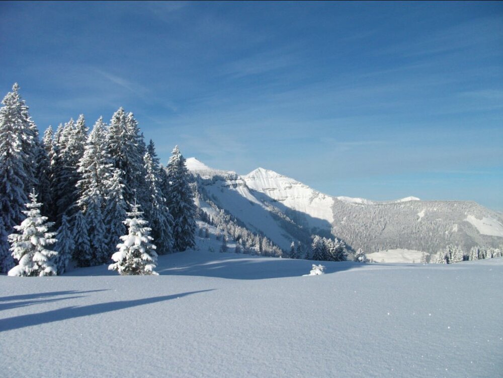 winter2010.thumb.jpg.b6296467c4befde026d3267e7d707c6d.jpg