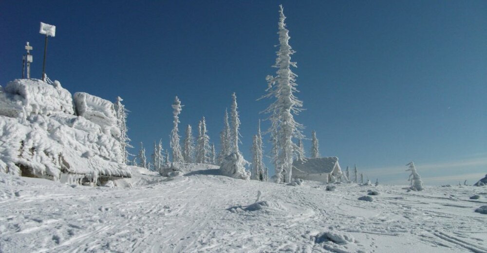 winter2012.thumb.jpg.81e3e7185d69cbd577e898e801530bd4.jpg