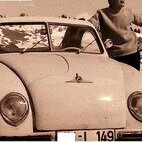 Alpenflitzer
