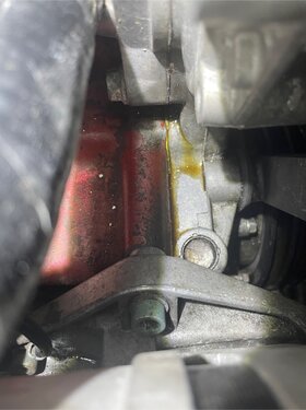 03_IMG_1293.jpg