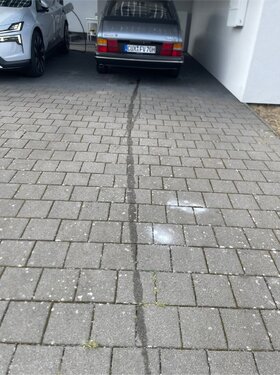 Spur auf der Auffahrt.jpg
