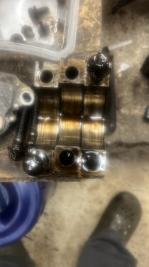 WhatsApp Image 2025-11-28 at 00.59.24.jpeg