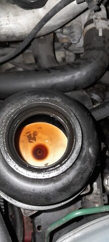 WhatsApp Bild 2025-12-06 um 00.01.35_d4fcdccd.jpg