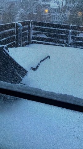 WhatsApp Image 2026-01-09 at 08.45.58.jpeg